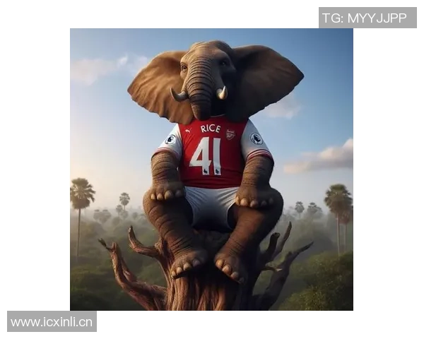 今日趣图：曼联进攻如潮却只收获平局阿森纳零封对手轻松拿分